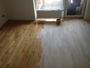 IMG_0248