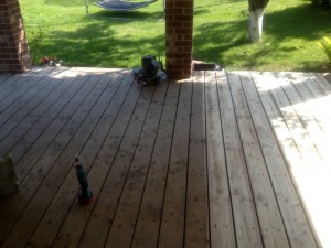 IMG_0460