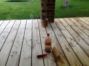 IMG_0462