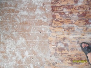 SAM_0787
