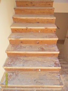SAM_0812